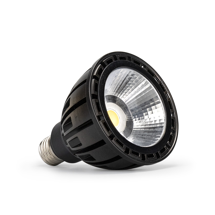 LED PAR30 Spotlight-HMSP006